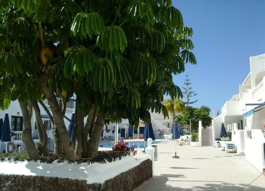 Porto Royale Lejlighed Los Cristianos  Eksteriør billede